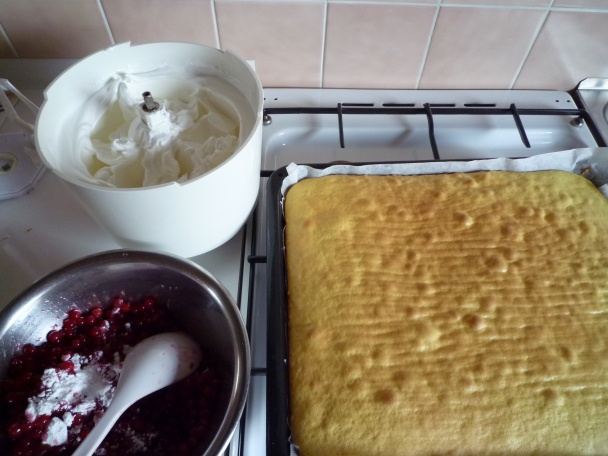 Koláč z čerstvých ríbezlí (fotorecept) - obrázok 7