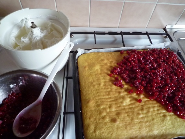 Koláč z čerstvých ríbezlí (fotorecept) - obrázok 8