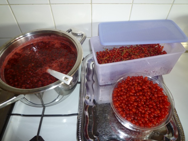 Koláč z čerstvých ríbezlí (fotorecept) - obrázok 13