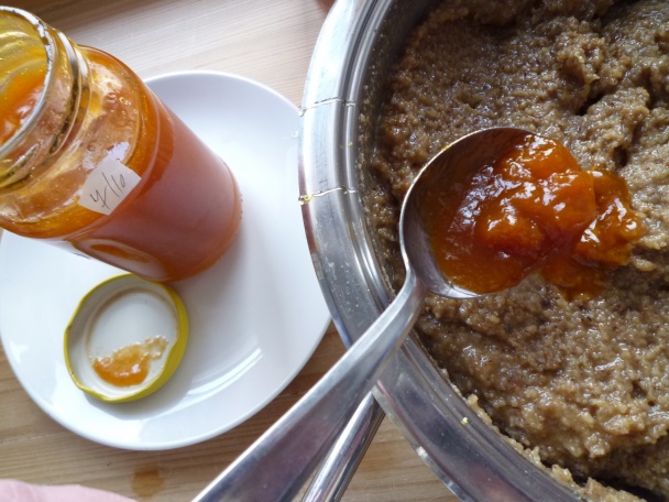 Orechová plnka excelentná (fotorecept) - obrázok 7