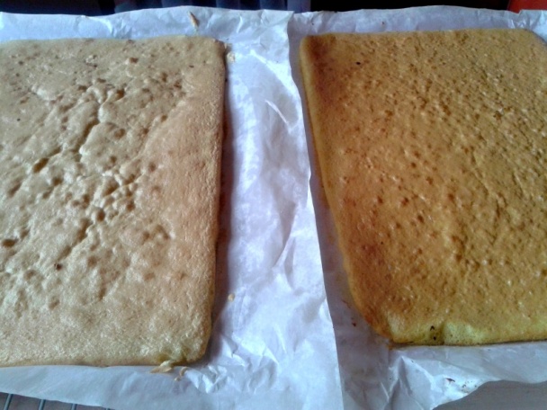 Malinové rezy (fotorecept) - obrázok 3