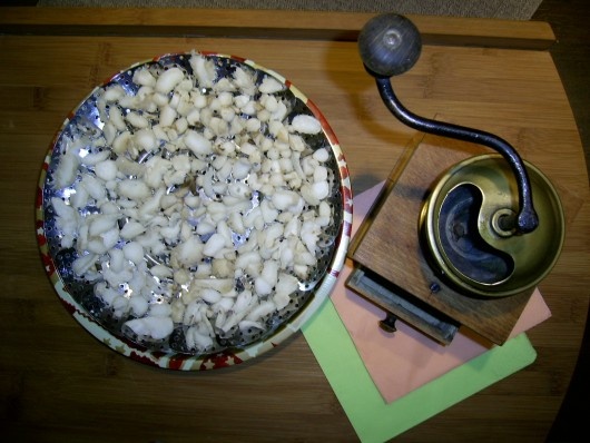 Hliva ustricová so smotanou (fotorecept) - obrázok 4