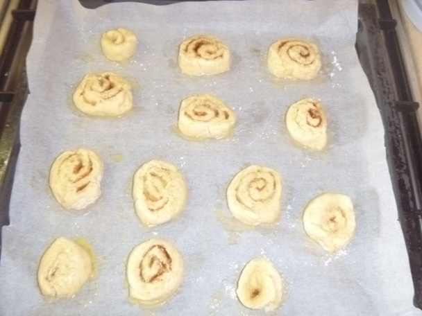 Bezlepkové osie hniezda (fotorecept) - obrázok 5