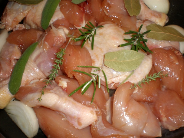 Sedliacke kurča - obrázok 2