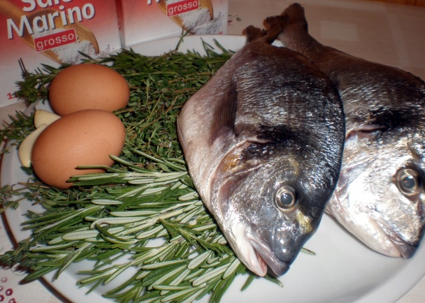 Pražma v soli (fotorecept) - obrázok 1