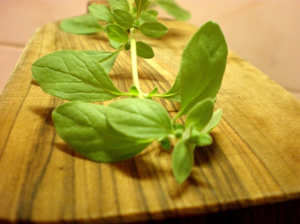 Zapečená cukina - obrázok 3