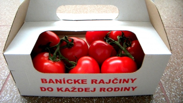 Plnené rajčiny - obrázok 3