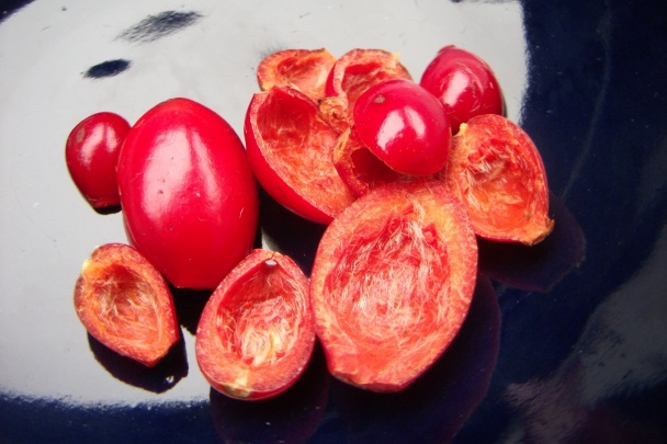 Šípkový lekvár prírodný - obrázok 2