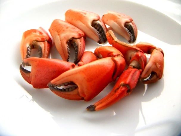 Krabie tyčinky - obrázok 1