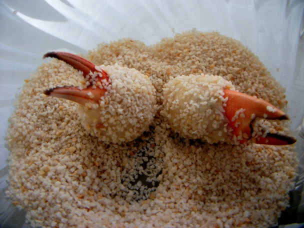 Krabie tyčinky - obrázok 2