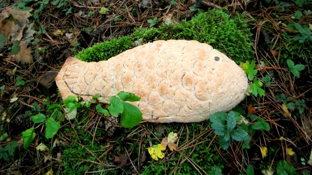 Ryba v soľno chlebovej kruste (fotorecept) - obrázok 7