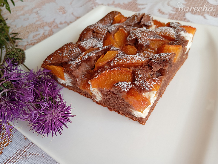 Strakatá marhuľová bublanina (fotorecept)