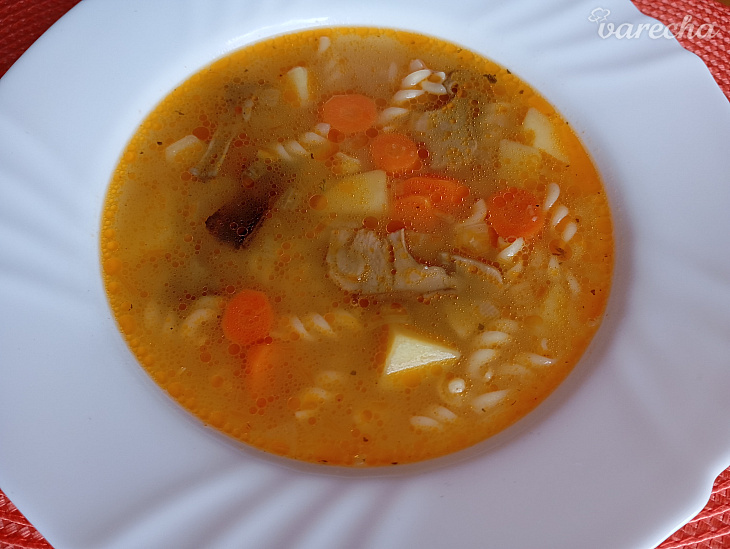 Polievka zo sušených hríbov s cestovinami