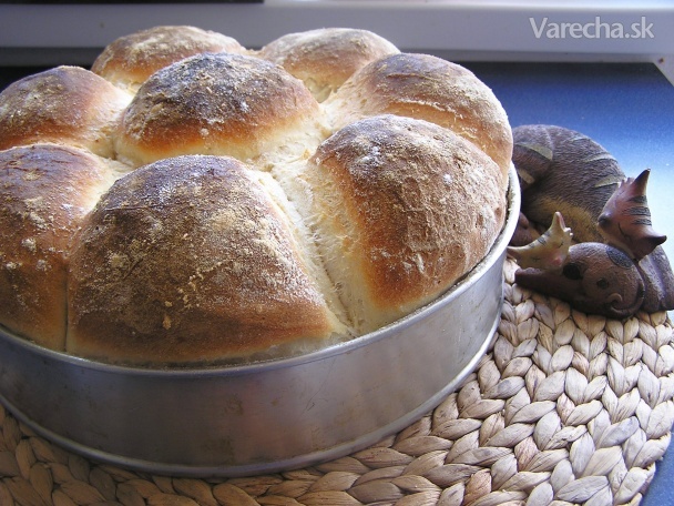Pivný chlieb (fotorecept)