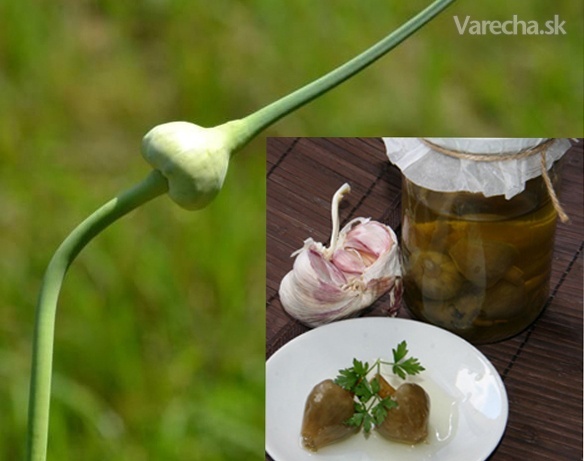 Česnekové květy v oleji (fotorecept)
