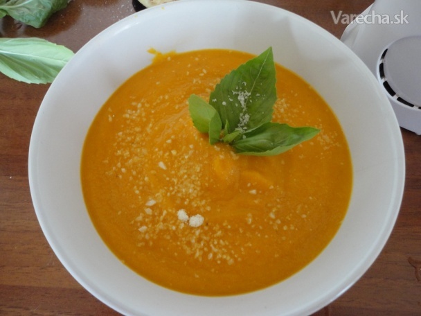 Zeleninová polievka 
