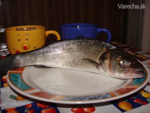 Ryba z Marina di Camerota