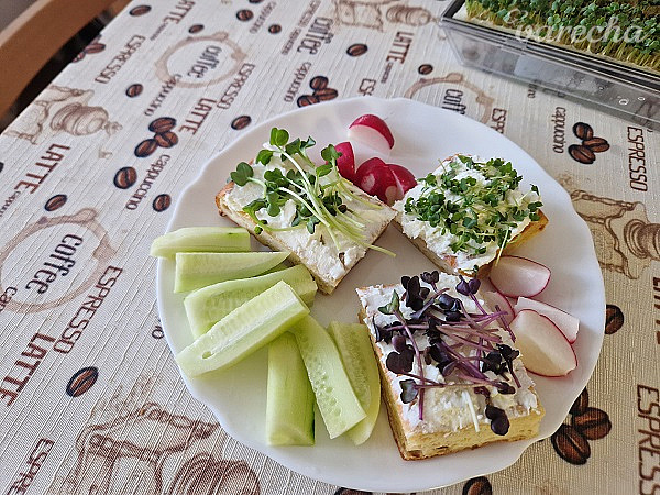 Placatý chlebík z tvarohu a vajec v bezlepkovej aj lepkovej verzii (fotorecept)