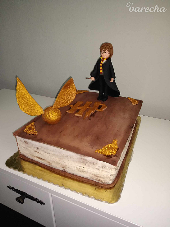 Torta k narodeninám Harry Potter