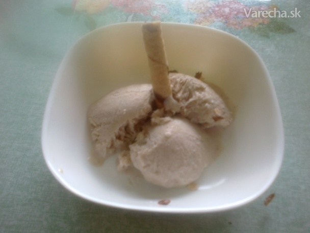 Domáca gaštanová zmrzlina (fotorecept)
