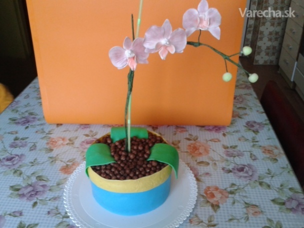 Torta kvetináč s orchideou (fotorecept 2)