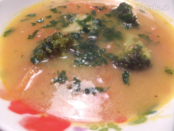Krémovo-nekrémová zeleninová polievka