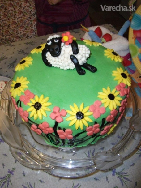 Amatérska tortička ovečka