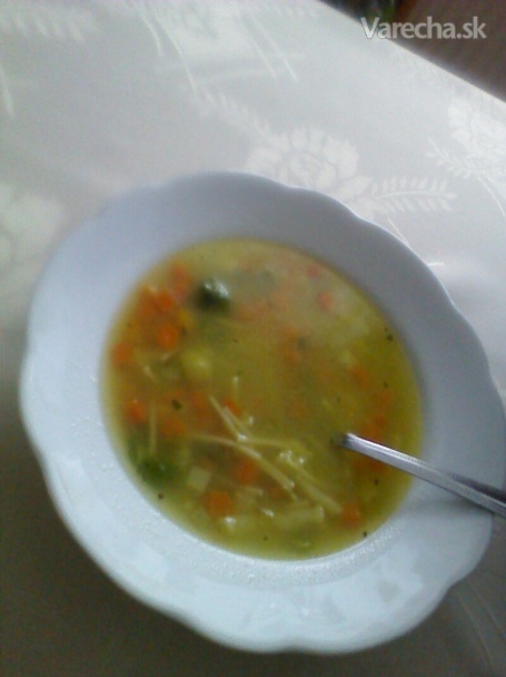 Rýchla zeleninová polievka