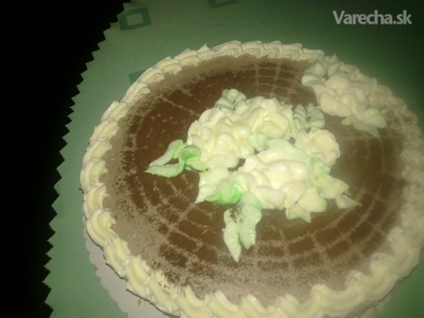 Smotanovo-kakaová torta DIA (fotorecept)