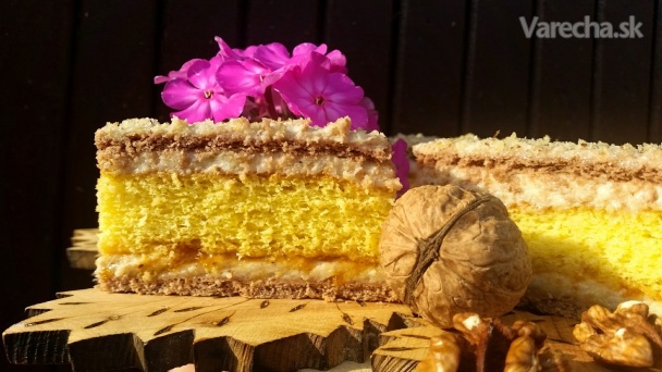 Silon – piškótovo-salajkový koláč (fotorecept)
