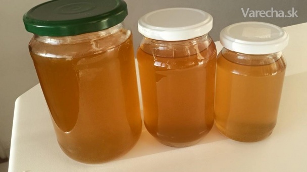 Púpavový med  (fotorecept)