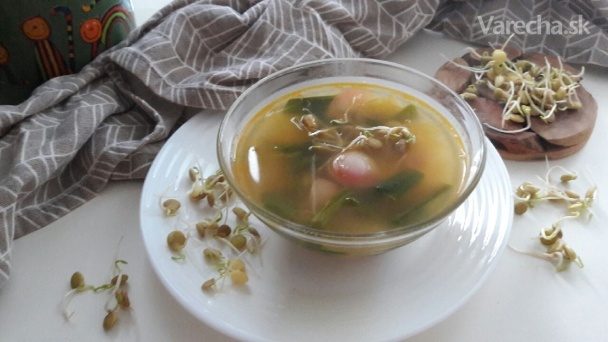 Recept - Zeleninová polievka