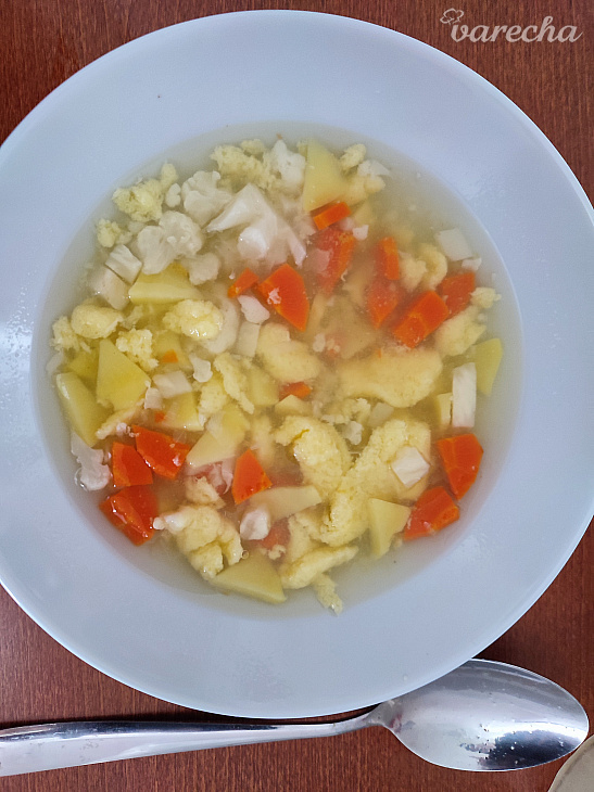 Zeleninová polievka pre deti aj dospelých 