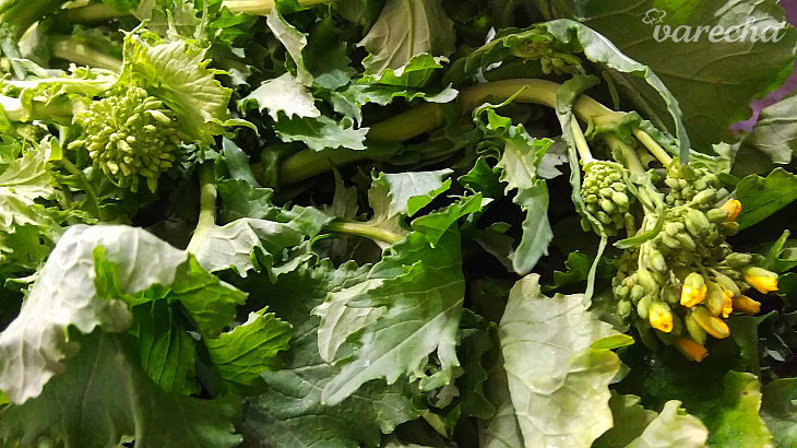  Cime di rapa (vrsky + listy) z okrúhlice/vodnice (fotorecept) bud to necháte takto,alebo vás ziadam