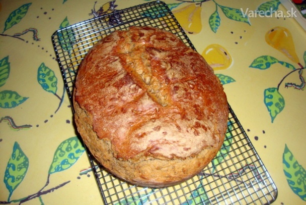 Chlebík z maky chlebowej T-720 (fotorecept)