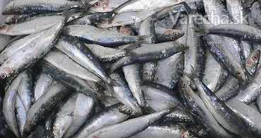 Toast rybára z Algarve