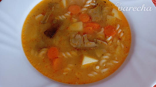 Polievka zo sušených hríbov s cestovinami