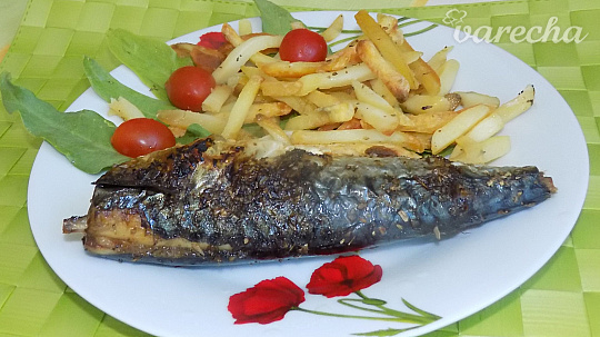 Rybička v hranolčekovom hniezdočku