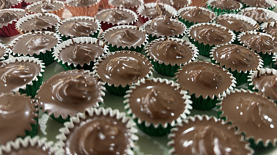 Gaštanové šuhajdy